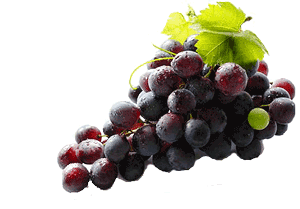 Red Grape Resveratrol