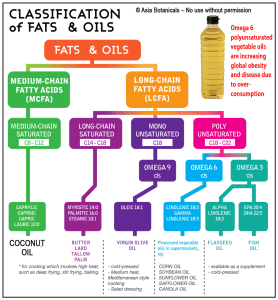 Understanding Refined RBD Coconut Oil and other fats and oils